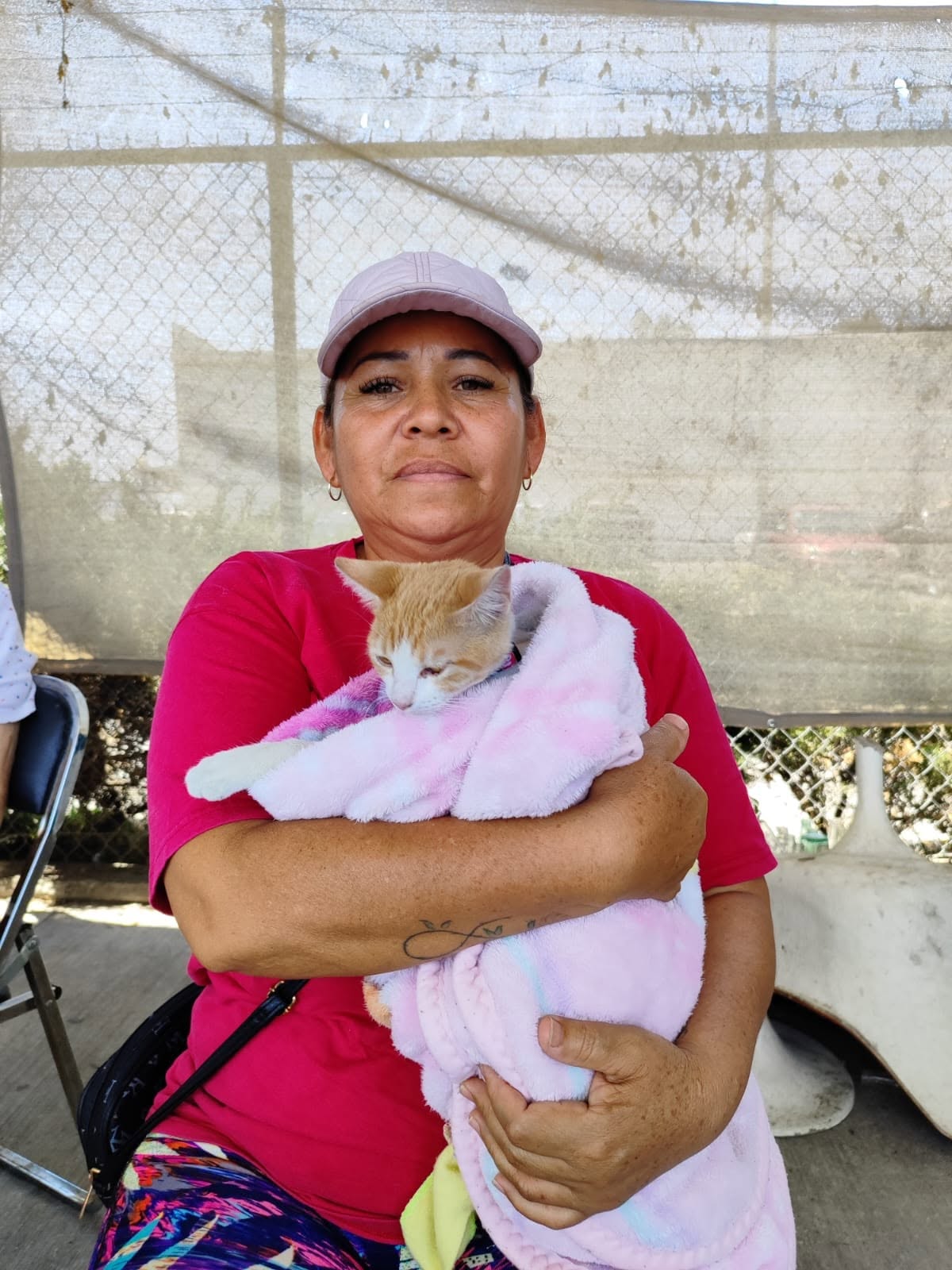Gatito recuperándose calientito dentro de su transportadora segura